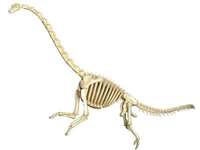 Об`ємна модель 4D Master  Брахіозавр