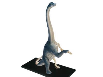 Об`ємна модель 4D Master  Брахіозавр