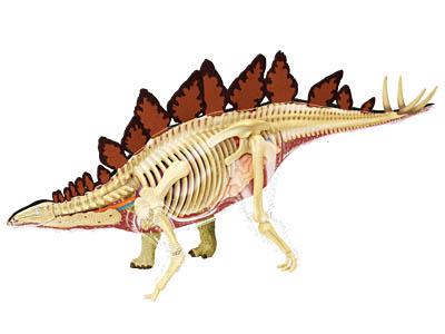 Об`ємна модель 4D Master  Стегозавр