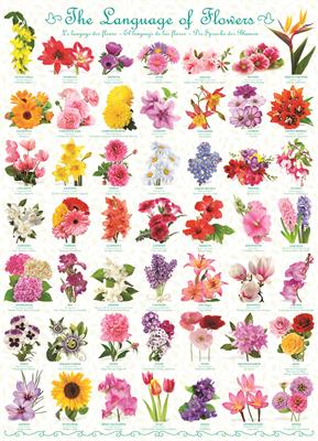 Пазл Eurographics Мова квітів, 1000 елементів