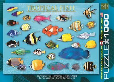 Пазл Eurographics Тропічні рибки, 1000 елементів