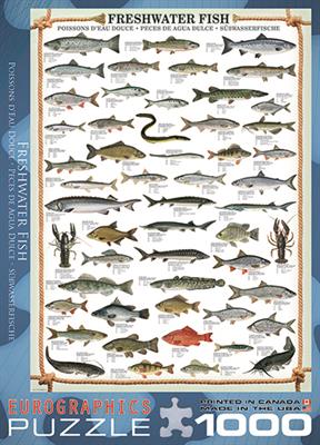Пазл Eurographics Прісноводні риби, 1000 елементів