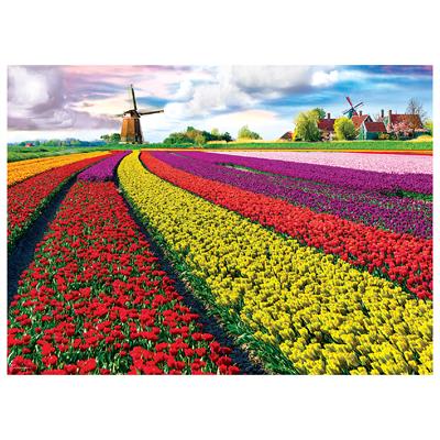 Пазл Eurographics Поле тюльпанів в Нідерландах, 1000 елементів