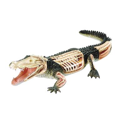 Об`ємна модель 4D Master Крокодил