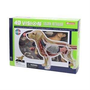 Об`ємна модель 4D Master Собака золотистий ретрівер