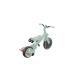 Велосипед дитячий GLOBBER серії EXPLORER TRIKE 4в1, фісташковий, до 20кг, 3 колеса