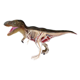 Об`ємна модель 4D Master  Тиранозавр