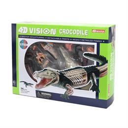 Объемная анатомическая модель 4D Master Крокодил